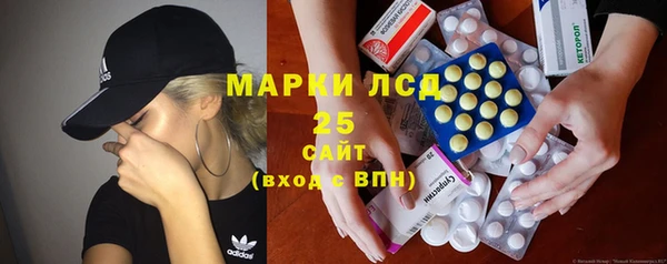 амф Новодвинск