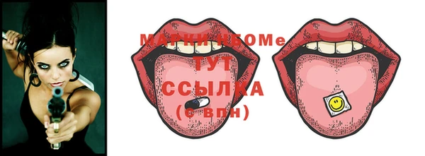 амф Новодвинск