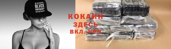 амф Новодвинск