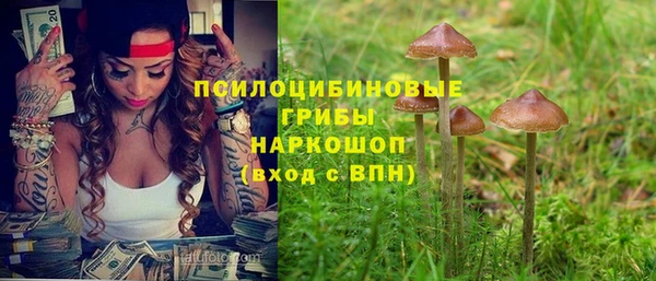 ALPHA-PVP Новозыбков